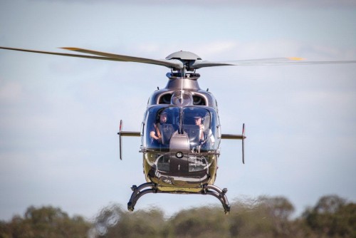 Specialist Helicopters image 1