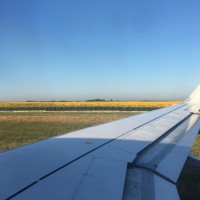 Alpha Echo Aviation School for Cabin Crew and Airport  Personnel image 3
