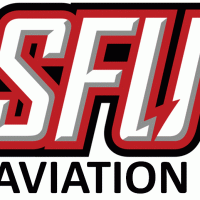 Nulton Aviation Services, Inc. image 4