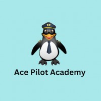 Ace Pilot Academy image 1